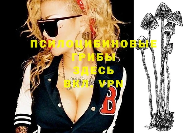 мескалин Пролетарск