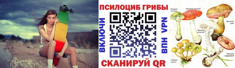 Купить  Дыгулыбгей  Псилоцибиновые грибы мицелий 